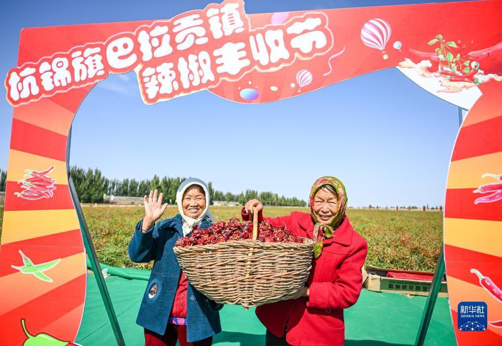 tongbo通博网站